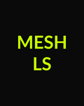 Mesh Long Sleeve Top